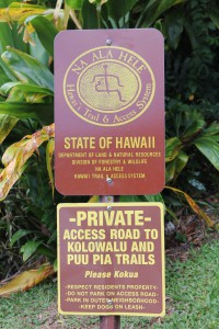 Manoa Hiking Trailw