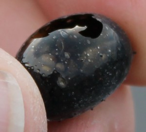 Hollow Pele's tear found at Halema`uma`u overlook. Erupted following January 8, 0351 explosive event triggered by rockfall.